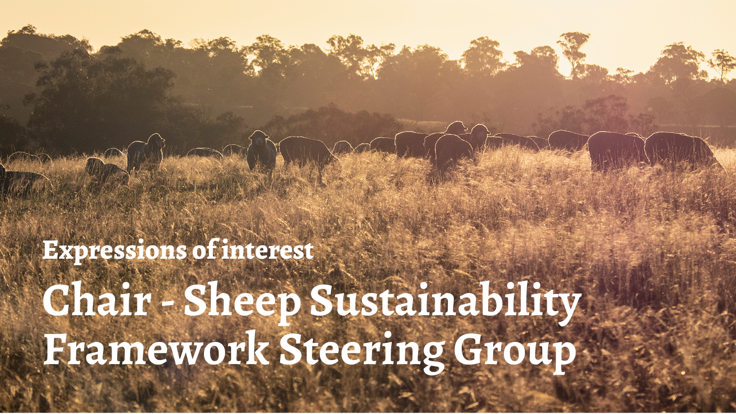Call for applicants - Sheep Sustainability Framework Steering Group Chair