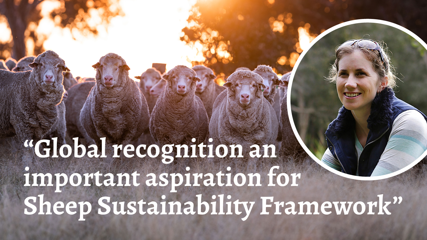 Global recognition an important aspiration for Sheep Sustainability Framework, says new Chair