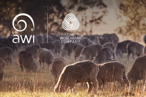 Wool’s eco rating challenge in the EU