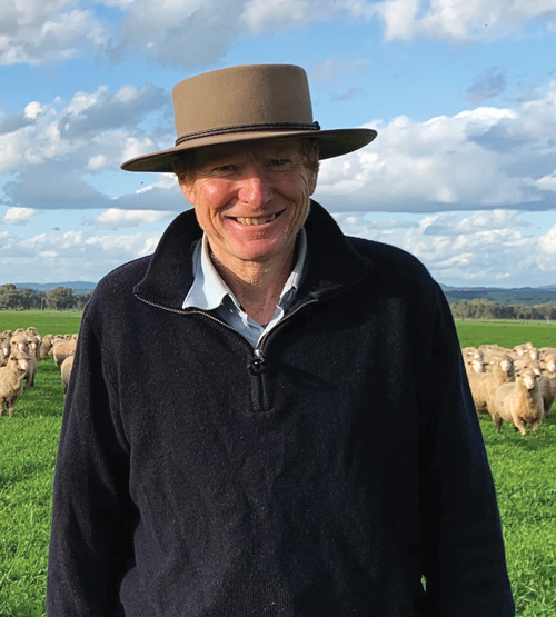 Professor Bruce Allworth - Chair, Sheep Sustainability Framework Steering Group