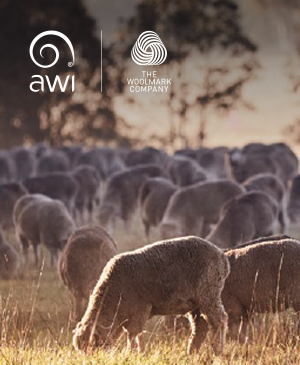 Wool’s eco rating challenge in the EU